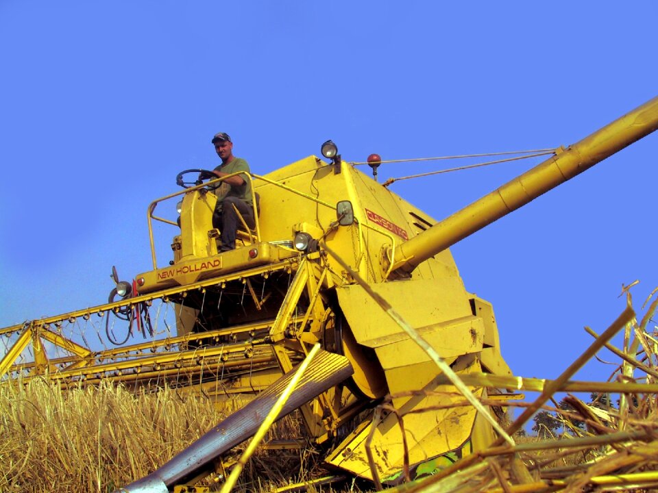 New-holland grain harvest wheat harvest