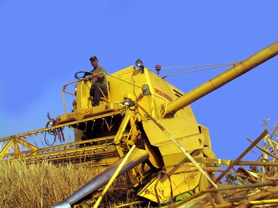 New-holland grain harvest wheat harvest