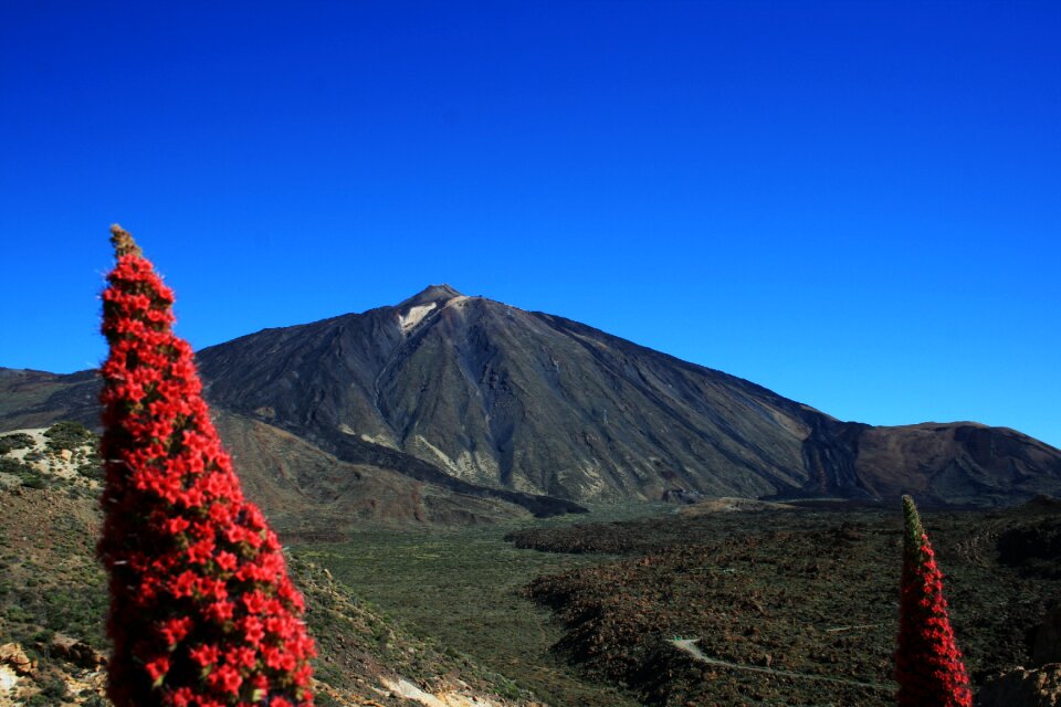 Tenerife national park canary islands