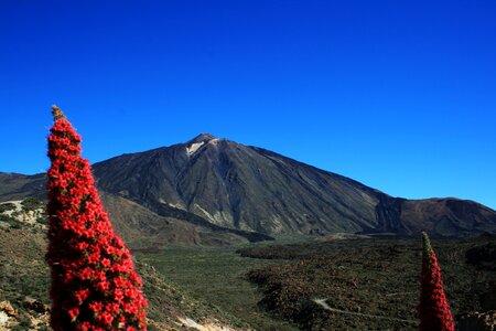 Tenerife national park canary islands photo