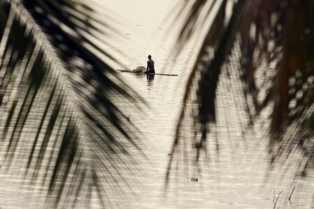 Fishing palmtree photo