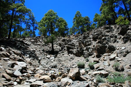 Spain teide nature photo