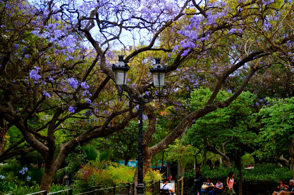 Green leaves fairytale