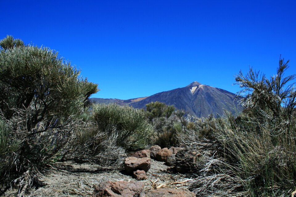 Spain teide nature