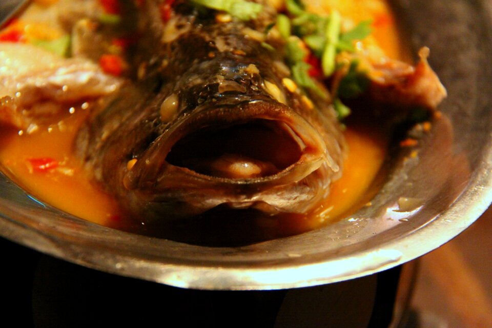Food court fish head
