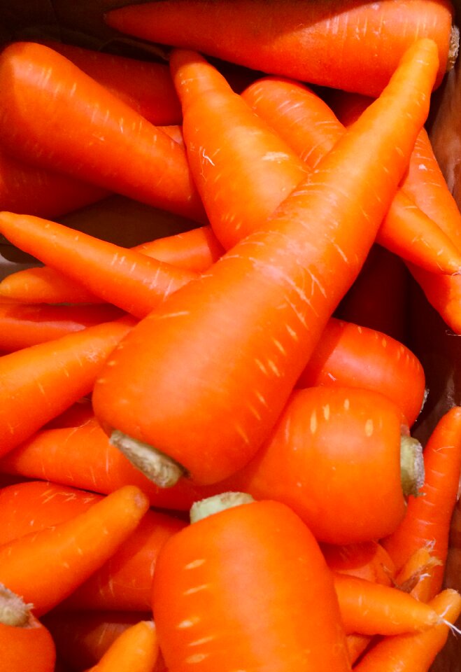 Living supermarket fruits and vegetables
