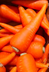 Living supermarket fruits and vegetables