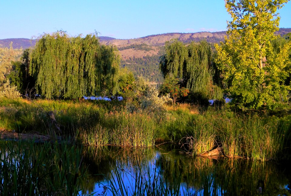 Okanagan summer vacation water photo