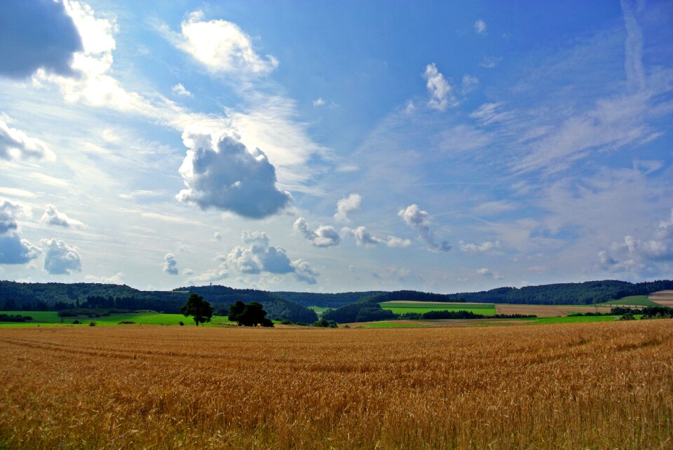 Sky agriculture summer photo