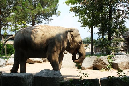 Animal world zoo nature