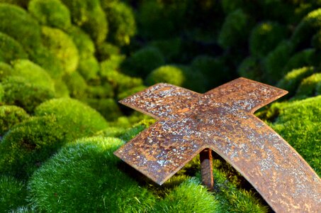 Rust rusty grave