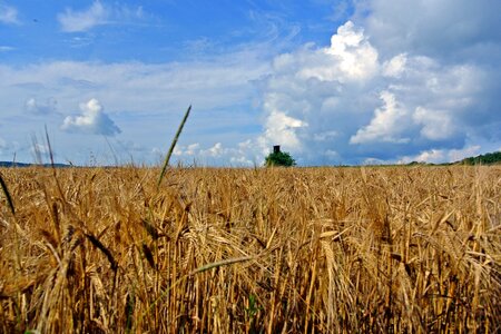 Sky agriculture summer
