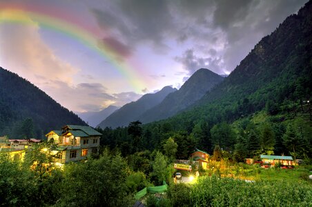 Evening green nature