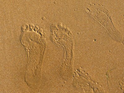 Sea footprint tracks in the sand photo