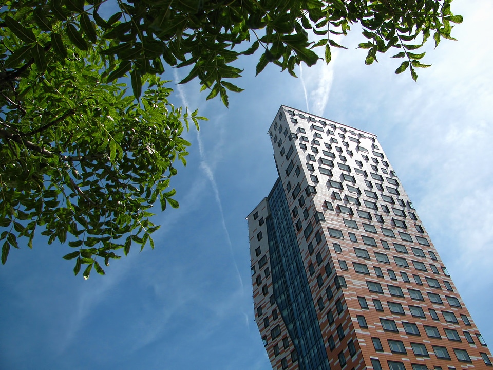 Modern building tower tree