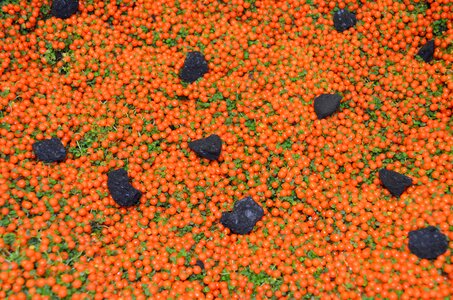Black orange background