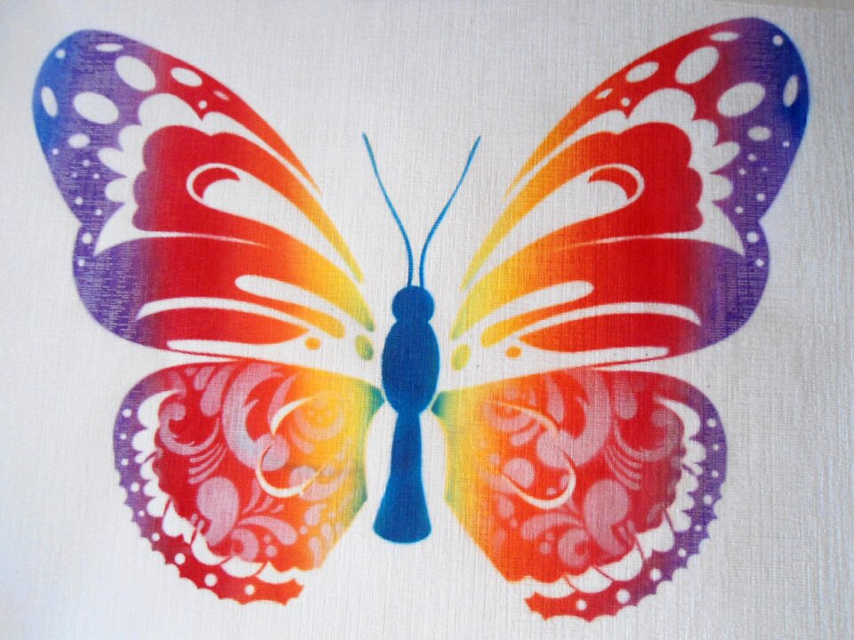 Nature flower butterflies
