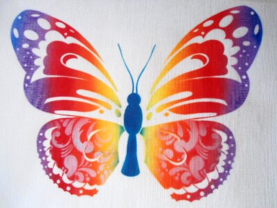 Nature flower butterflies