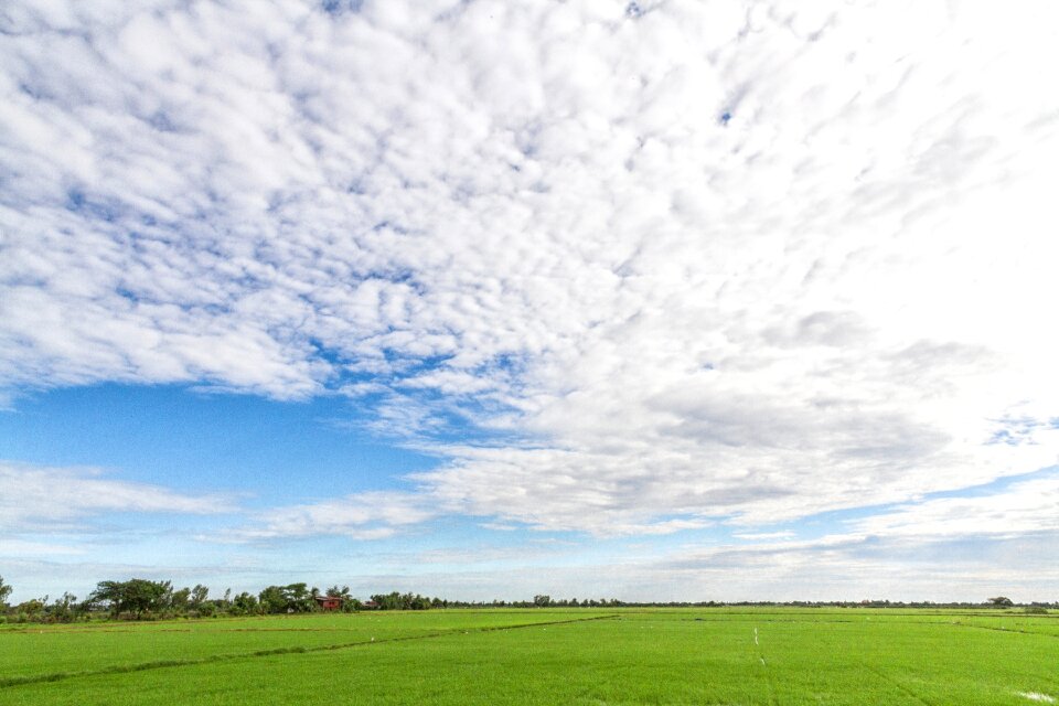 Ines sky image view
