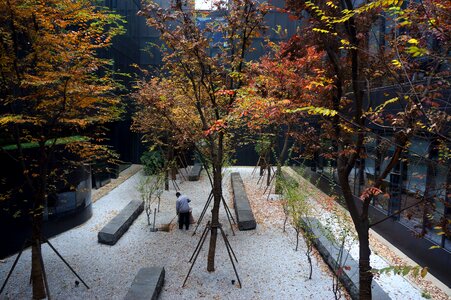 Sweep the floor autumn defoliation