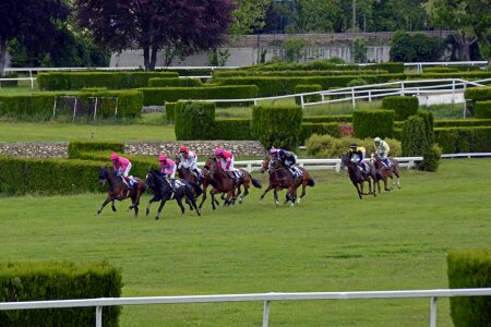 Jokey horses race
