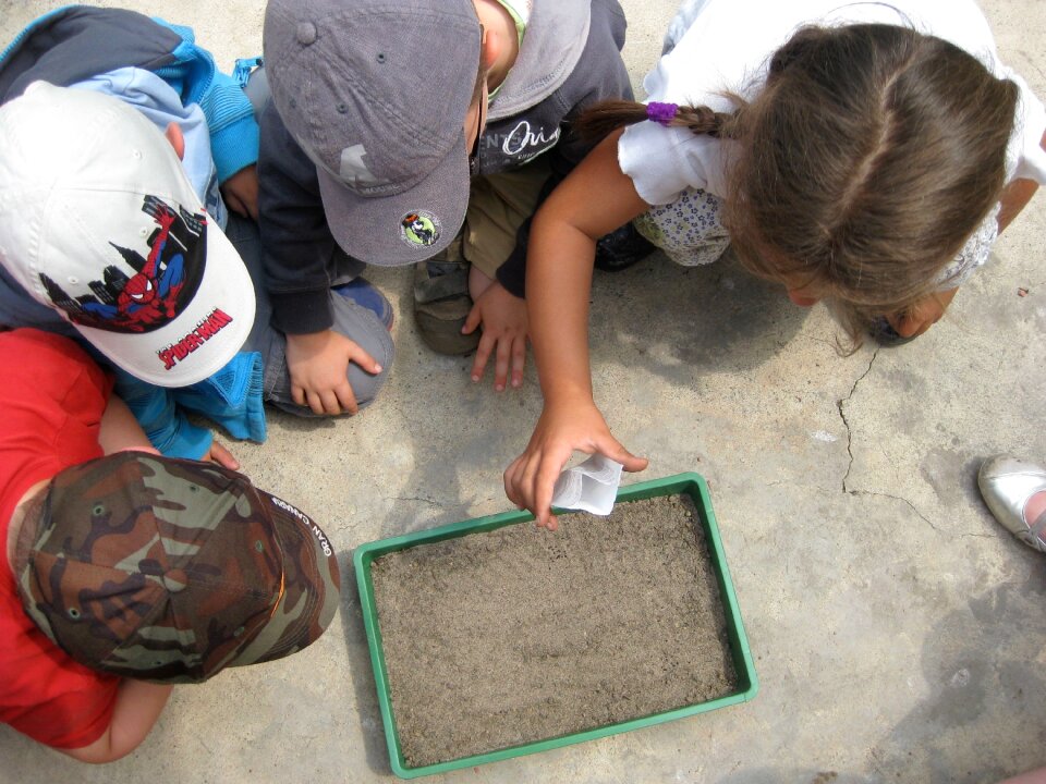 Nature activities children photo