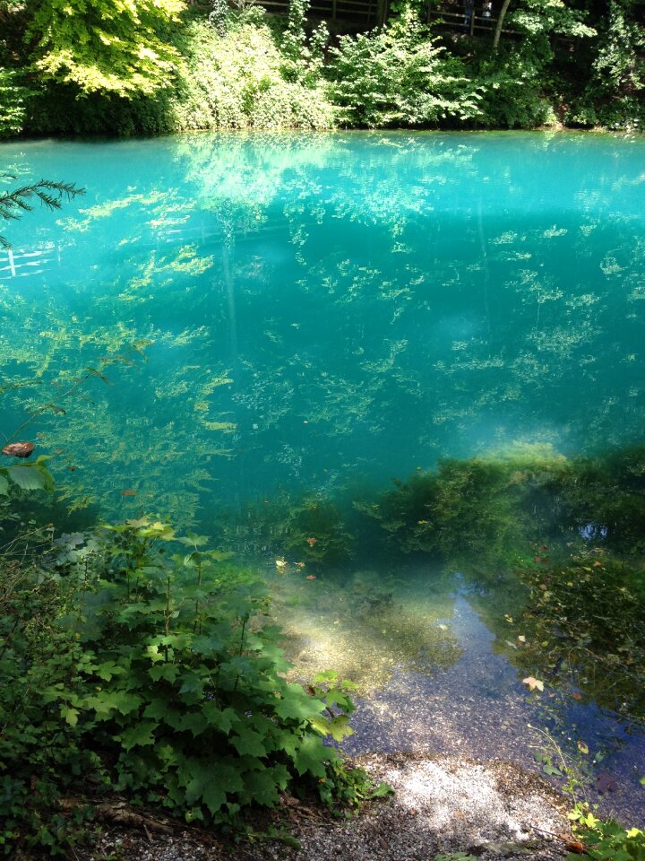 Forest turquoise mirroring