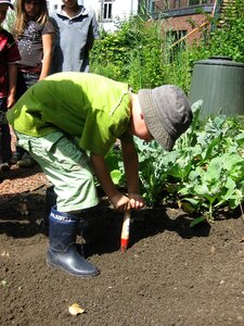 Nature gardening plantation