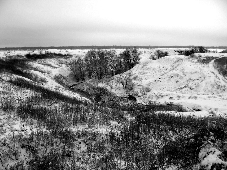 Trees frost outdoors