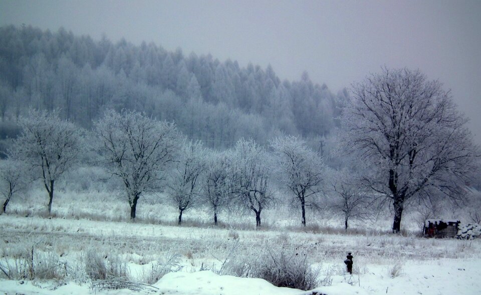 Landscape frost nature
