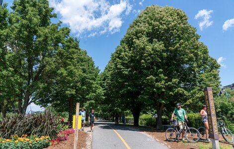 Bike path water lake champlain photo