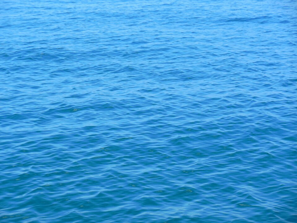 Summer sea vacations ocean