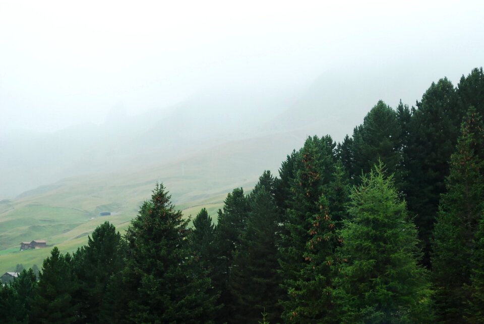Scenic morning scenery