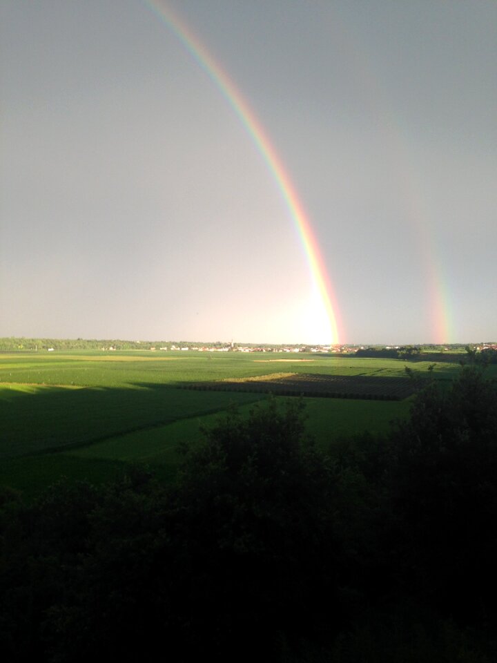 Rainbow campaign gray