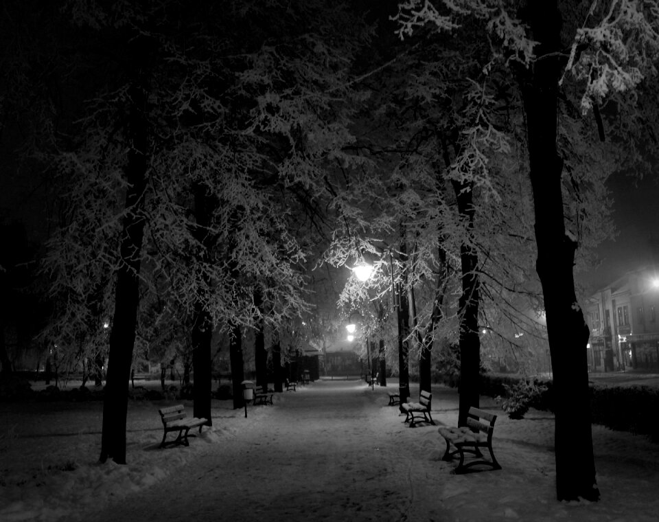 Winter black and white black white