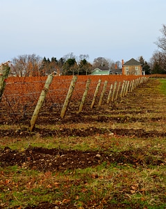 Fence landscape agriculture photo