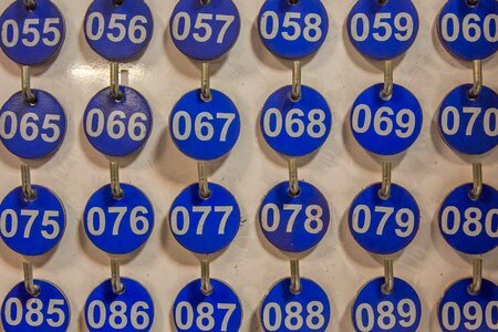 Blue alignment round