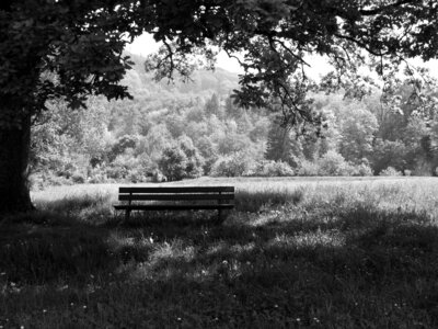 Rest bench black and white photo