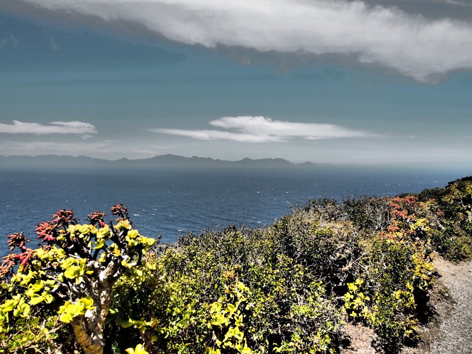 Coast cape of good hope ocean