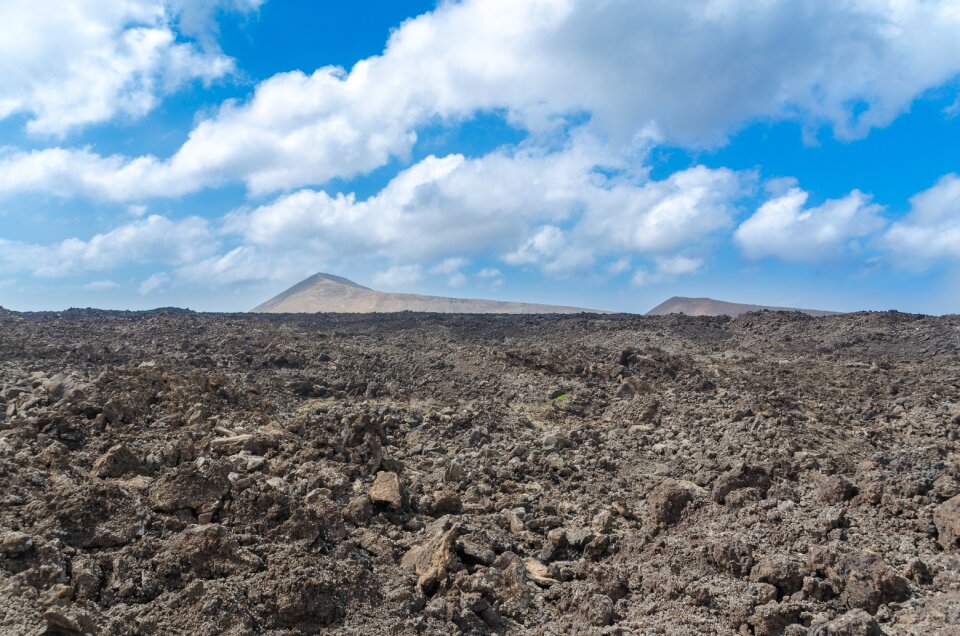 Tinguato tinguatón lanzarote