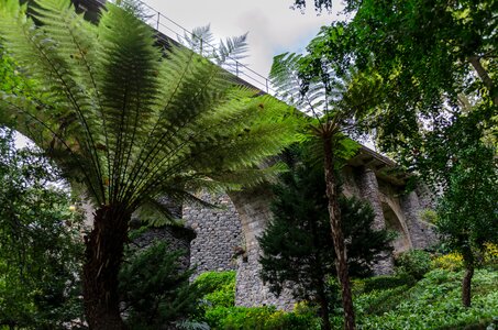 Botanical garden botanical garden