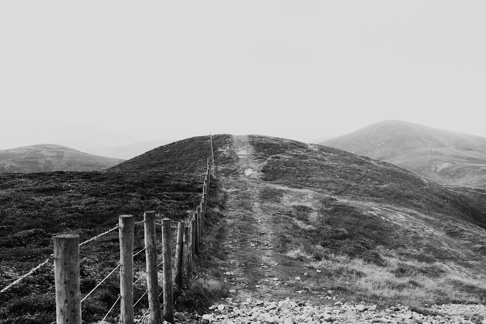 Fence field pathway