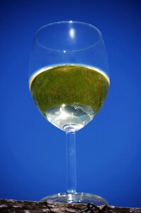 Cup drink alcohol