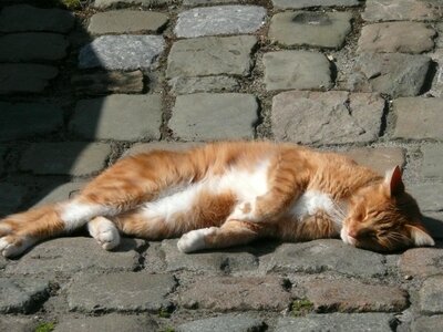 Relax sunny