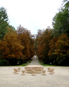 Brancusi artwork romania