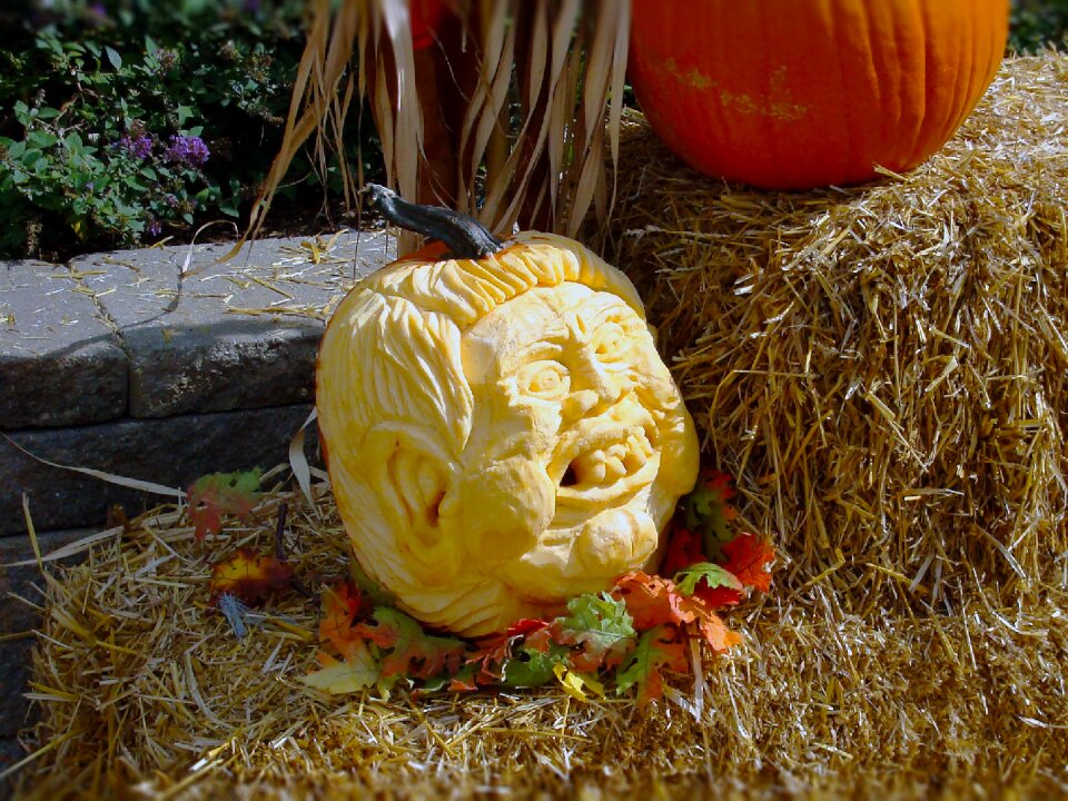 Trumpkin autumn fall
