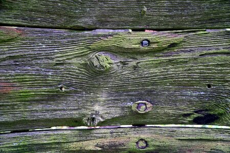 Old wood ailing