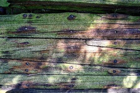 Old wood ailing