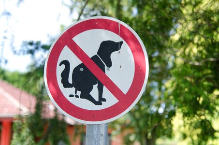 Dog ban green park photo