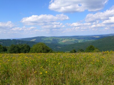 Meadow nature czech photo